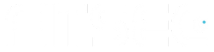 grey colored text logo to Fitsec's main page